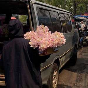 男卄女B视频大全
